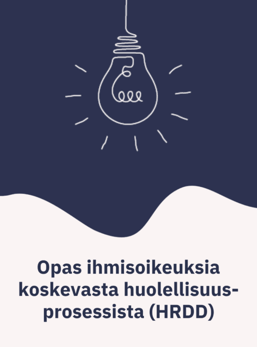 Opas ihmisoikeuksia koskevasta huolellisuusprosessista (HRDD)
